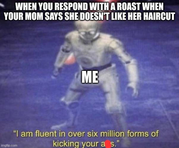 YOOOOO | WHEN YOU RESPOND WITH A ROAST WHEN YOUR MOM SAYS SHE DOESN'T LIKE HER HAIRCUT; ME | image tagged in i am fluent in over six million forms of kicking your ass | made w/ Imgflip meme maker