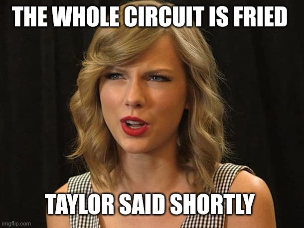 Taylor said shortly | THE WHOLE CIRCUIT IS FRIED; TAYLOR SAID SHORTLY | image tagged in taylor swiftie | made w/ Imgflip meme maker