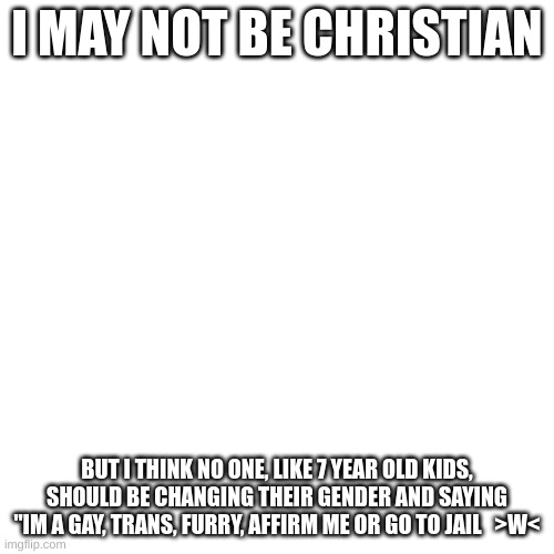 no horny | I MAY NOT BE CHRISTIAN; BUT I THINK NO ONE, LIKE 7 YEAR OLD KIDS, SHOULD BE CHANGING THEIR GENDER AND SAYING "IM A GAY, TRANS, FURRY, AFFIRM ME OR GO TO JAIL   >W< | image tagged in memes,blank transparent square | made w/ Imgflip meme maker