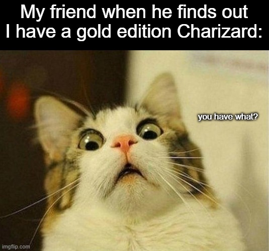 J-e-a-l-o-u-s, that spells jealous! | My friend when he finds out I have a gold edition Charizard:; you have what? | image tagged in memes,scared cat,pokemon | made w/ Imgflip meme maker