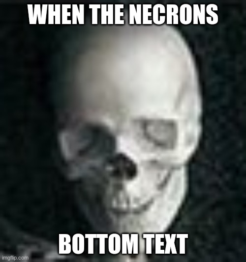 I have returned from my slumber, now unleash me upon my enemies | WHEN THE NECRONS; BOTTOM TEXT | image tagged in skull | made w/ Imgflip meme maker