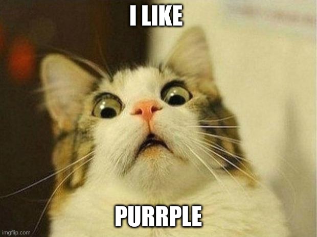 Scared Cat Meme | I LIKE; PURRPLE | image tagged in memes,scared cat | made w/ Imgflip meme maker