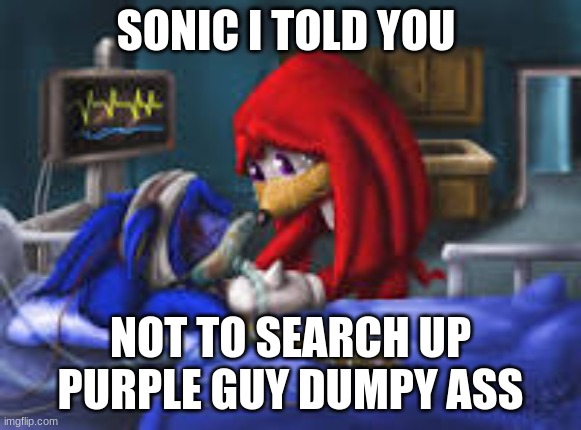 SONIC I TOLD YOU NOT TO SEARCH UP PURPLE GUY DUMPY ASS | made w/ Imgflip meme maker