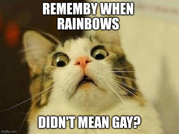 No offence but take offence karen | REMEMBY WHEN 
RAINBOWS; DIDN'T MEAN GAY? | image tagged in memes,scared cat,rainbow | made w/ Imgflip meme maker