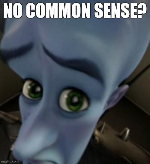 P.A.R.I.A.H lol | NO COMMON SENSE? | image tagged in megamind no bitches,common sense,memes | made w/ Imgflip meme maker