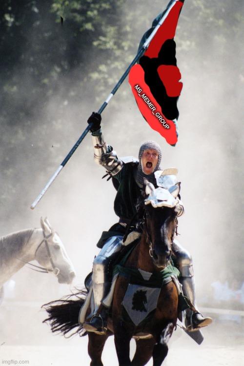 MSMG raid flag Blank Meme Template