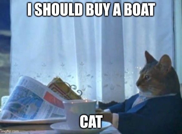 i honestly dont know if anyone finds this funny. | I SHOULD BUY A BOAT; CAT | image tagged in memes,i should buy a boat cat | made w/ Imgflip meme maker