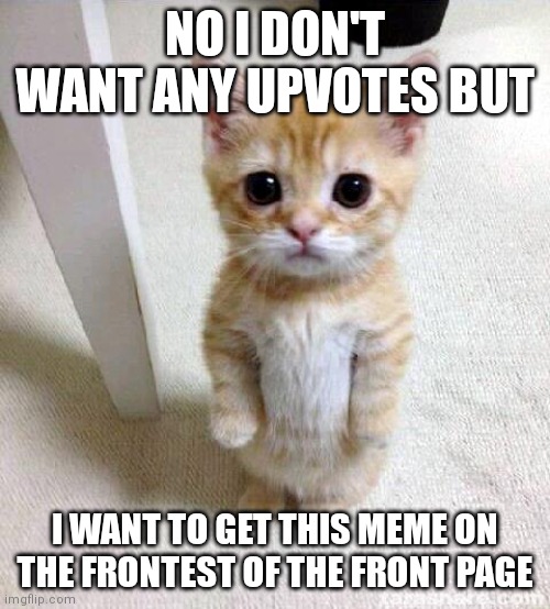 Let's prove your kindness | NO I DON'T WANT ANY UPVOTES BUT; I WANT TO GET THIS MEME ON THE FRONTEST OF THE FRONT PAGE | image tagged in memes,cute cat,front page plz,front page,frontpage | made w/ Imgflip meme maker