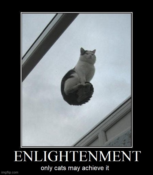 Cat Silence, Cat Stillness & Catnip are Keys to the Universe | image tagged in vince vance,cats,enlightenment,memes,meow,i love cats | made w/ Imgflip meme maker