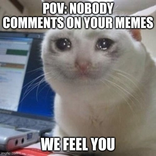 nobody ever comments | POV: NOBODY COMMENTS ON YOUR MEMES; WE FEEL YOU | image tagged in crying cat | made w/ Imgflip meme maker