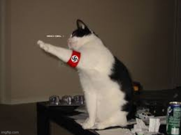 New template | image tagged in nazi cat,meow | made w/ Imgflip meme maker