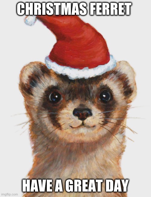 :) | CHRISTMAS FERRET; HAVE A GREAT DAY | image tagged in ferret | made w/ Imgflip meme maker