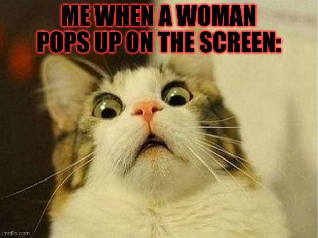 pretty lady... | ME WHEN A WOMAN POPS UP ON THE SCREEN: | image tagged in memes,scared cat | made w/ Imgflip meme maker