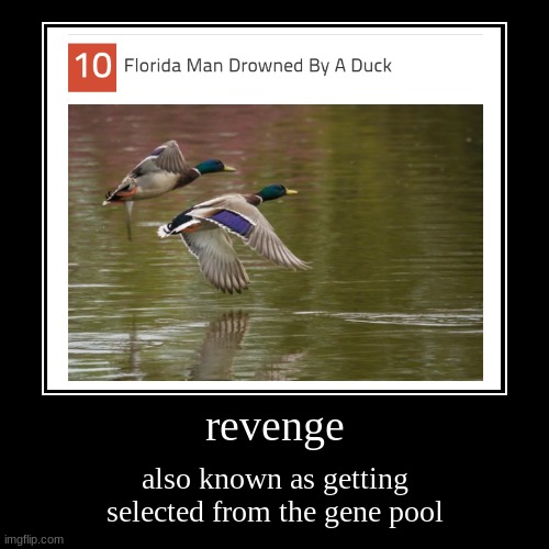 revenge | also known as getting selected from the gene pool | image tagged in funny,demotivationals | made w/ Imgflip demotivational maker