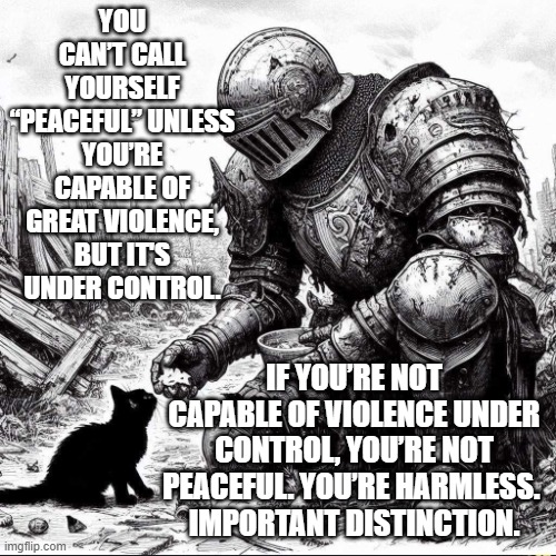 peaceful | YOU CAN’T CALL YOURSELF “PEACEFUL” UNLESS YOU’RE CAPABLE OF GREAT VIOLENCE, BUT IT'S UNDER CONTROL. IF YOU’RE NOT CAPABLE OF VIOLENCE UNDER CONTROL, YOU’RE NOT PEACEFUL. YOU’RE HARMLESS. 
IMPORTANT DISTINCTION. | image tagged in philosophy | made w/ Imgflip meme maker