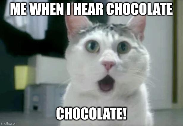 chocolate! | ME WHEN I HEAR CHOCOLATE; CHOCOLATE! | image tagged in memes,omg cat | made w/ Imgflip meme maker