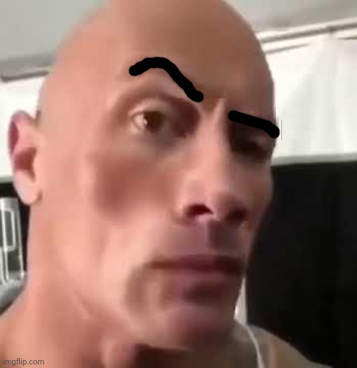 The Rock Eyebrows | image tagged in the rock eyebrows | made w/ Imgflip meme maker