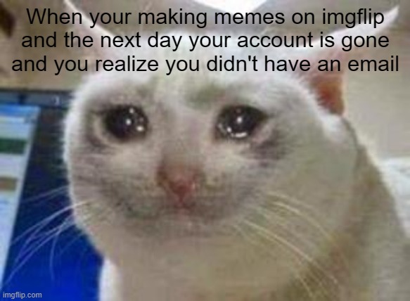 This happened to me and this is a backup account and main was BeepBoopBap R.I.P  main account | When your making memes on imgflip and the next day your account is gone and you realize you didn't have an email | image tagged in sad cat | made w/ Imgflip meme maker