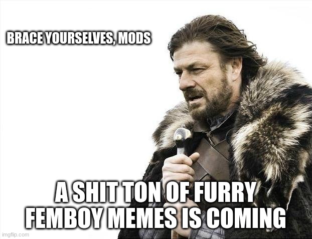 LET'S WORK TO SPAM THEM | BRACE YOURSELVES, MODS; A SHIT TON OF FURRY FEMBOY MEMES IS COMING | image tagged in memes,brace yourselves x is coming | made w/ Imgflip meme maker