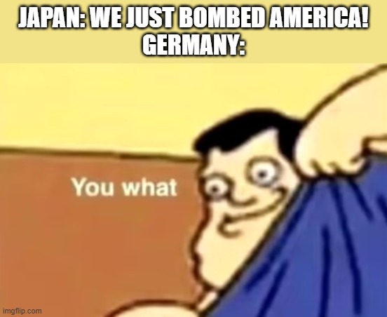 you what | JAPAN: WE JUST BOMBED AMERICA!
GERMANY: | image tagged in you what | made w/ Imgflip meme maker