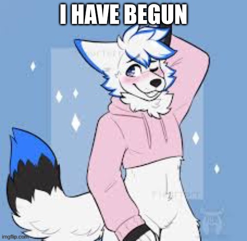 (Mod note: what?) | I HAVE BEGUN | image tagged in femboy furry | made w/ Imgflip meme maker