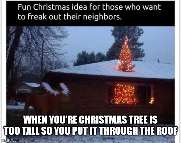 I hope they can easily patch that roof up when Christmas is over | WHEN YOU'RE CHRISTMAS TREE IS TOO TALL SO YOU PUT IT THROUGH THE ROOF | image tagged in christmas,christmas memes,when you're tree is to tall,funny memes,repost | made w/ Imgflip meme maker