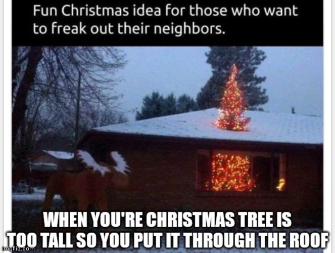 I hope they can easily patch that roof up when Christmas is over | image tagged in repost,christmas,christmas memes,memes,funny memes,when you're tree is too tall | made w/ Imgflip meme maker