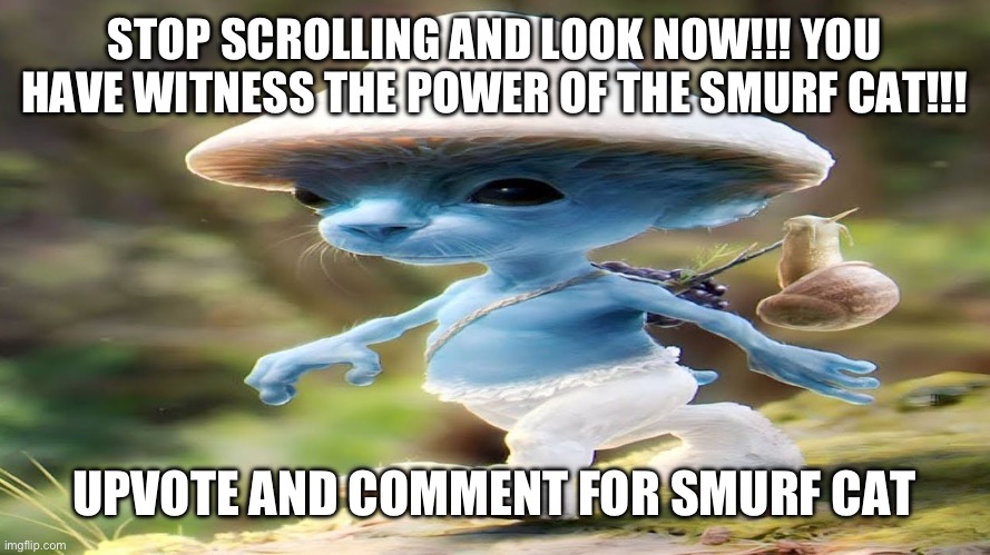 :) | STOP SCROLLING AND LOOK NOW!!! YOU HAVE WITNESS THE POWER OF THE SMURF CAT!!! UPVOTE AND COMMENT FOR SMURF CAT | image tagged in smurf cat meme,upvote beggars,comment,stop | made w/ Imgflip meme maker