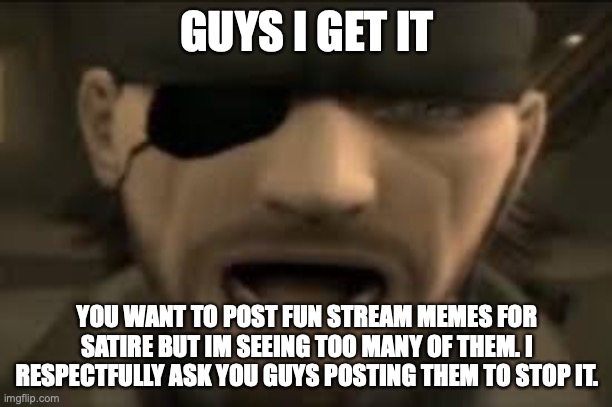 starting to get annoying and i hope you understand that | GUYS I GET IT; YOU WANT TO POST FUN STREAM MEMES FOR SATIRE BUT IM SEEING TOO MANY OF THEM. I RESPECTFULLY ASK YOU GUYS POSTING THEM TO STOP IT. | image tagged in naked snake scream | made w/ Imgflip meme maker