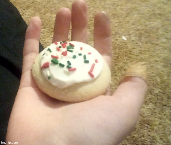 We all gotta agree this is the best kind of cookie ever | made w/ Imgflip meme maker