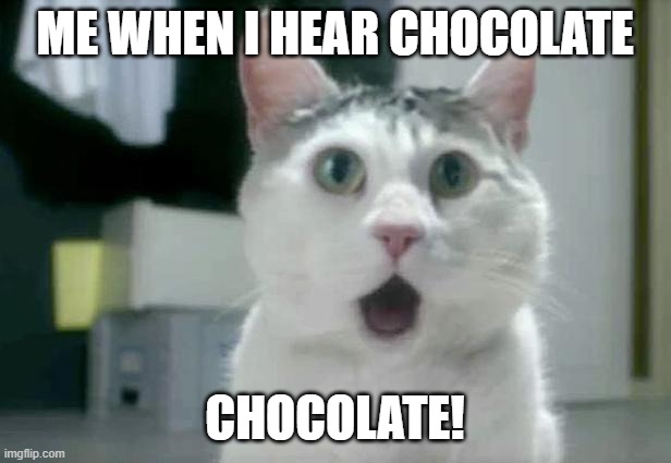 OMG Cat | ME WHEN I HEAR CHOCOLATE; CHOCOLATE! | image tagged in memes,omg cat | made w/ Imgflip meme maker