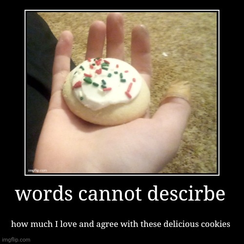 words cannot descirbe | how much I love and agree with these delicious cookies | image tagged in funny,demotivationals | made w/ Imgflip demotivational maker