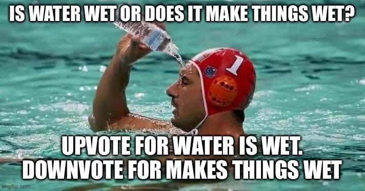 Water wet | IS WATER WET OR DOES IT MAKE THINGS WET? UPVOTE FOR WATER IS WET. DOWNVOTE FOR MAKES THINGS WET | image tagged in pouring water on face in pool | made w/ Imgflip meme maker
