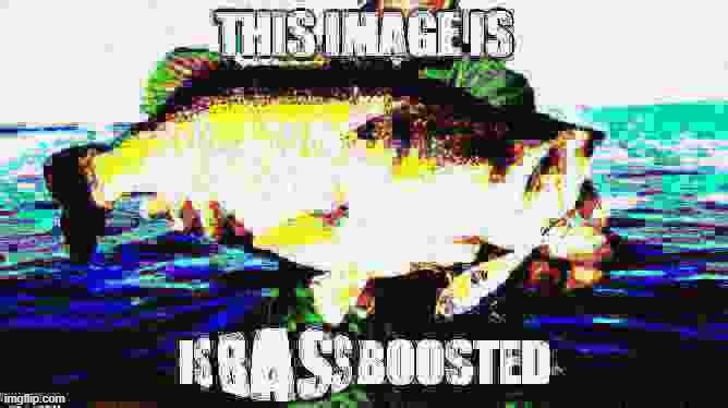 Bass boosted | image tagged in bass,fish,deep fried | made w/ Imgflip meme maker