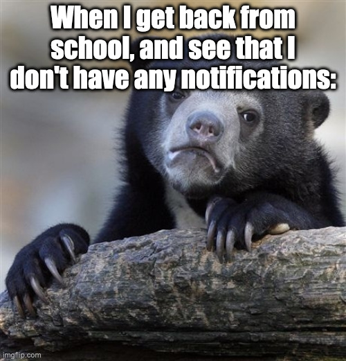 Confession Bear | When I get back from school, and see that I don't have any notifications: | image tagged in memes,confession bear | made w/ Imgflip meme maker