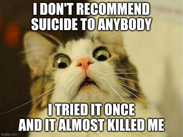 Cat | I DON'T RECOMMEND SUICIDE TO ANYBODY; I TRIED IT ONCE AND IT ALMOST KILLED ME | image tagged in memes,scared cat,suicide | made w/ Imgflip meme maker