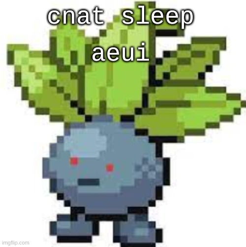 auie | cnat sleep; aeui | image tagged in oddish straight face | made w/ Imgflip meme maker