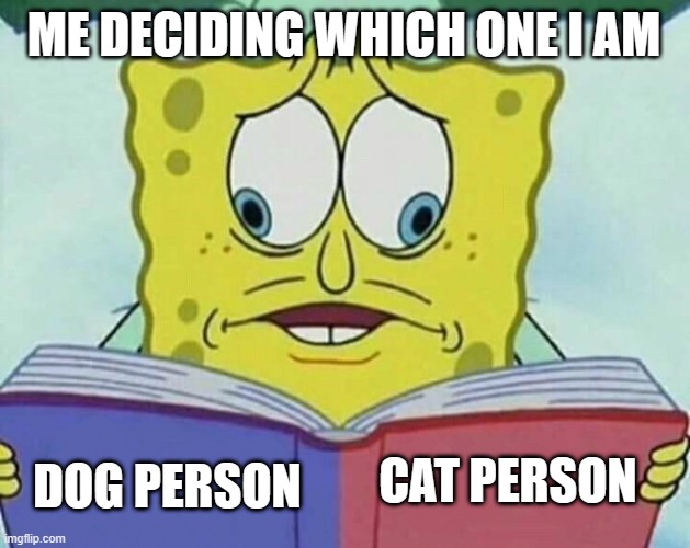 I love both!! | ME DECIDING WHICH ONE I AM; CAT PERSON; DOG PERSON | image tagged in cross eyed spongebob,dogs,cats,spongebob,memes | made w/ Imgflip meme maker