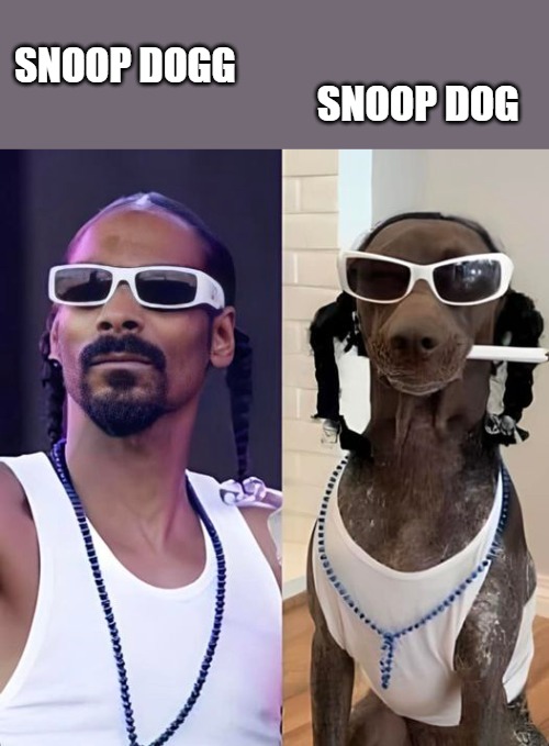 Snoop Dogg | SNOOP DOGG; SNOOP DOG | image tagged in snoop dogg,snoop dog | made w/ Imgflip meme maker