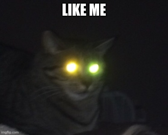 Demonic Beast Cat | LIKE ME | image tagged in demonic beast cat | made w/ Imgflip meme maker
