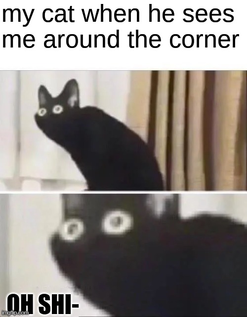 my cat when he hears pspspspspspspspspsps | my cat when he sees me around the corner; OH SHI- | image tagged in oh no black cat,hilarious,funny,joke | made w/ Imgflip meme maker
