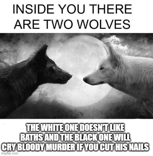 Inside you there are two wolves | THE WHITE ONE DOESN'T LIKE BATHS AND THE BLACK ONE WILL CRY BLOODY MURDER IF YOU CUT HIS NAILS | image tagged in inside you there are two wolves | made w/ Imgflip meme maker