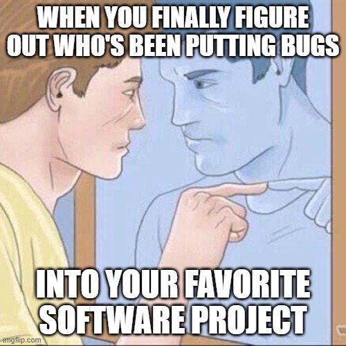 Pointing mirror guy | WHEN YOU FINALLY FIGURE OUT WHO'S BEEN PUTTING BUGS; INTO YOUR FAVORITE SOFTWARE PROJECT | image tagged in pointing mirror guy | made w/ Imgflip meme maker
