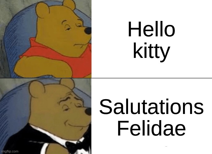 Felidae is another name for cats btw :) | Hello kitty; Salutations Felidae | image tagged in memes,tuxedo winnie the pooh,cats,cat,hello kitty,feline | made w/ Imgflip meme maker