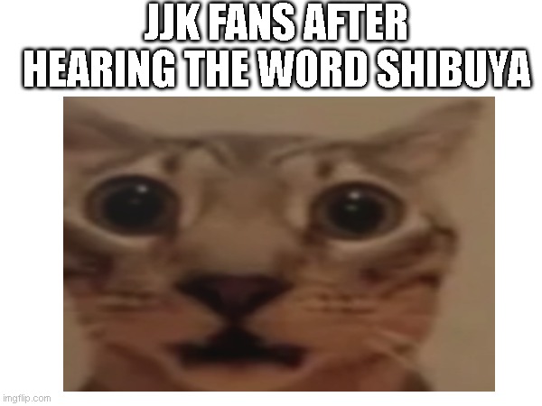 JJK FANS AFTER HEARING THE WORD SHIBUYA | made w/ Imgflip meme maker