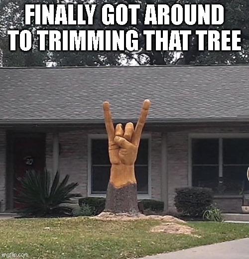FINALLY GOT AROUND TO TRIMMING THAT TREE | image tagged in funny | made w/ Imgflip meme maker