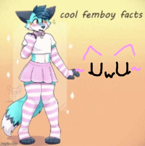 cool femboy facts | image tagged in cool femboy facts | made w/ Imgflip meme maker