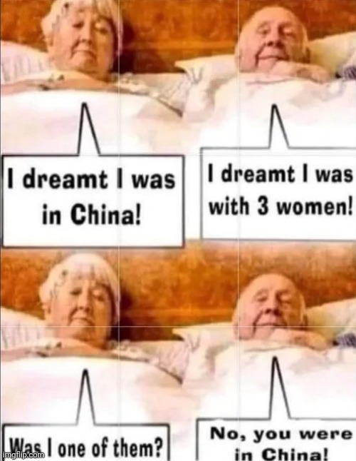 In Your Dreams | image tagged in married,couple in bed,sweet dreams,still a better love story than twilight | made w/ Imgflip meme maker