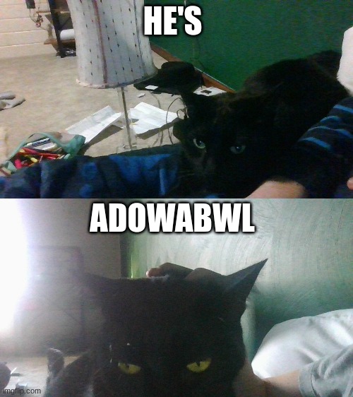 HE'S ADOWABWL | made w/ Imgflip meme maker