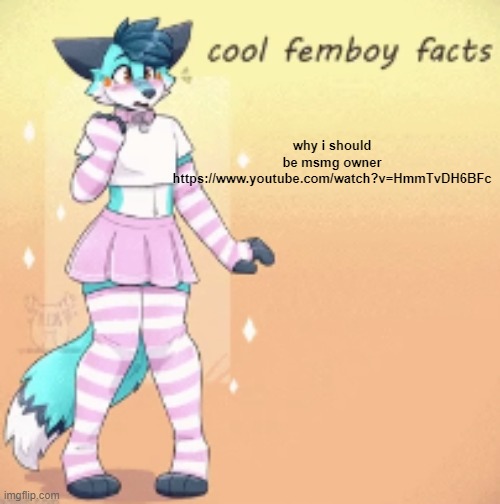 cool femboy facts | why i should be msmg owner
https://www.youtube.com/watch?v=HmmTvDH6BFc | image tagged in cool femboy facts | made w/ Imgflip meme maker